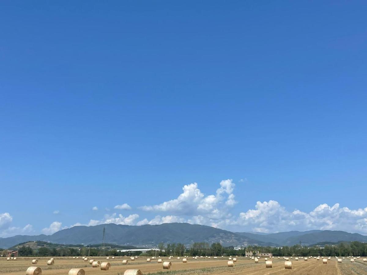 Lucca Holiday Rental- By The Walls N 395 Dış mekan fotoğraf